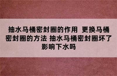 抽水马桶密封圈的作用  更换马桶密封圈的方法 抽水马桶密封圈坏了影响下水吗